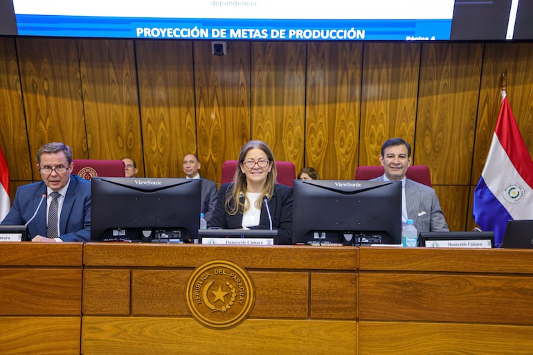 El ministro de la Corte Suprema de Justicia (CSJ), Alberto Martínez junto a la presidenta de la CBP, la diputada Cristina Villalba y el vicepresidente de la CBP, el senador Silvio "Beto" Ovelar. (Foto: Gentileza Congreso).