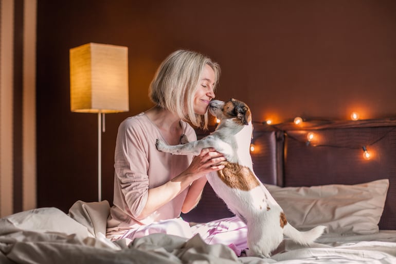 Perro madrugador, imagen ilustrativa.