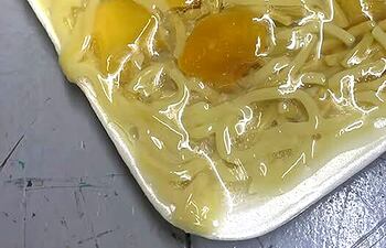 El plato de comida que reciben los pacientes del Ineram refleja la desconexión del Gobierno con la realdiad, señaló la diputada Rocio Vallejo.