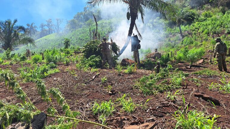 Los agentes especiales proceden a la incineración de la droga hallada.