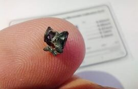 Fotografía cedida por el Museo Paleontológico de San Pedro de un fragmento fosilizado de un pez Synbranchus encontrado en cercanías de la ciudad de San Pedro (Argentina).