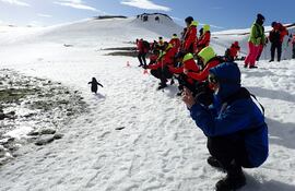 Varios turistas fotografían en la Antártida a un ejemplar de pingüino que escapa de la avalancha de personas.