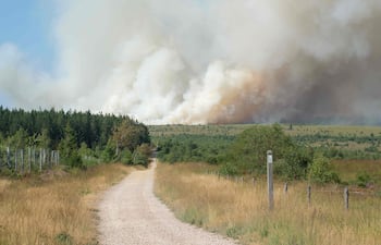 Esta fotografía muestra una columna de humo que se eleva hacia el cielo durante un incendio forestal en la reserva natural de Hautes Fagnes (High Fens) en Jalhay, el 14 de agosto de 2026. (Photo by NICOLAS LAMBERT / Belga / AFP) / Belgium OUT