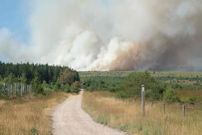 Esta fotografía muestra una columna de humo que se eleva hacia el cielo durante un incendio forestal en la reserva natural de Hautes Fagnes (High Fens) en Jalhay, el 14 de agosto de 2026. (Photo by NICOLAS LAMBERT / Belga / AFP) / Belgium OUT