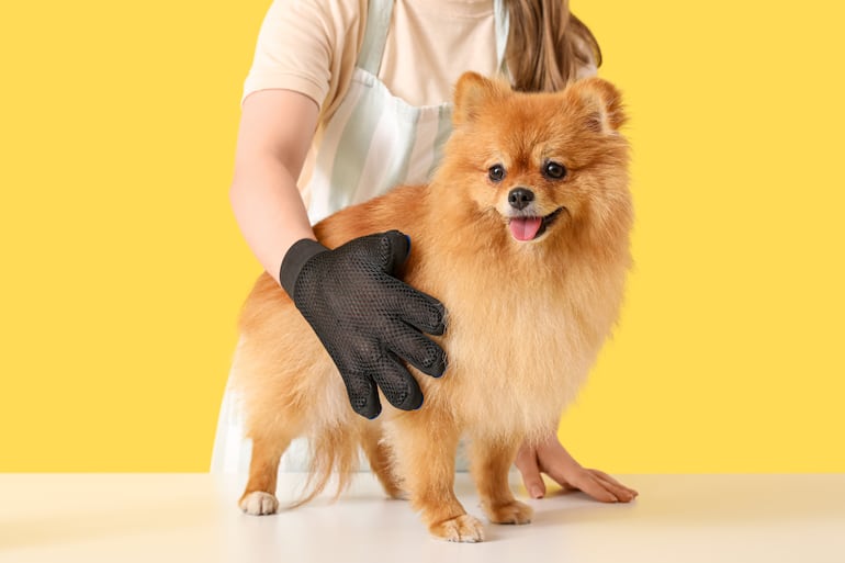 Un masaje puede relajar a tu perro o disparar dolor y estrés si se hace mal.