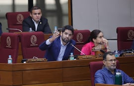 El diputado paraguayo, Raúl Benítez (c). EFE/ Juan Pablo Pino