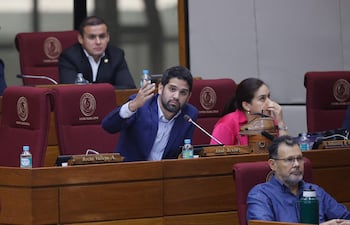 El diputado paraguayo, Raúl Benítez (c). EFE/ Juan Pablo Pino