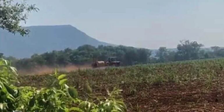 Pobladores captaron momentos en que se realizaba la fumigación de los cultivos.