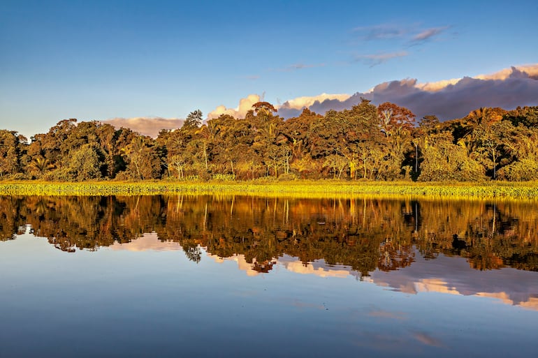 Atardecer en el río Beni, Parque Nacional Madidi, amazonía boliviana.
