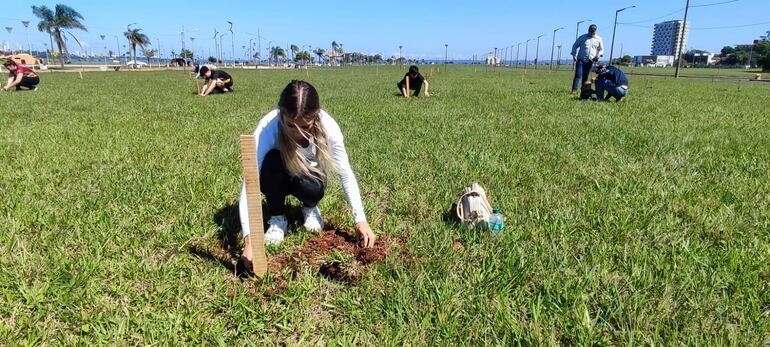 Desde sus inicios, en 2019, más de 5.000 árboles nativos plantados en el marco de una campaña por promover un entorno más saludable para la ciudad.