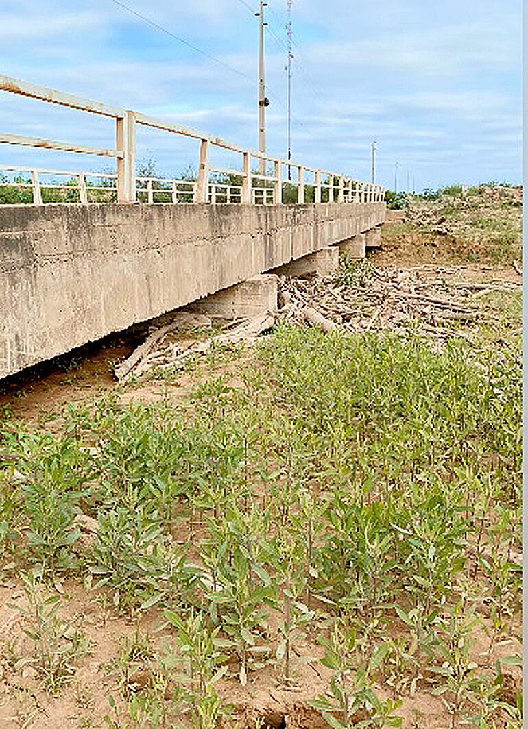Los puentes se llenaron de madera y sedimentos.