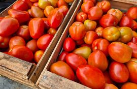 Tomates