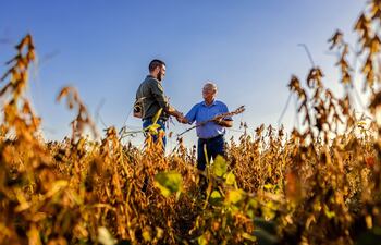 El seguro agrícola constituye una herramienta de valor estratégico para el país, protegiendo las inversiones frente a riesgos.