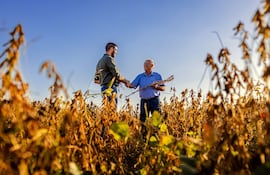 El seguro agrícola constituye una herramienta de valor estratégico para el país, protegiendo las inversiones frente a riesgos.