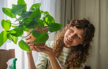 Cuidado de las plantas.