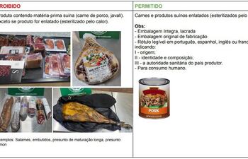 Estos son los productos permitidos y prohibidos para su ingreso al Brasil.