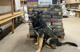 La carga de marihuana incautada en el municipio brasileño de Santa Helena.