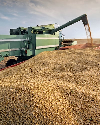 El ingreso de divisas aumentó en US$ 116 millones.