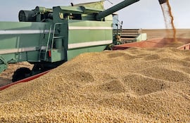 El ingreso de divisas aumentó en US$ 116 millones.