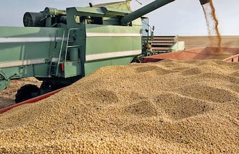 El ingreso de divisas aumentó en US$ 116 millones.