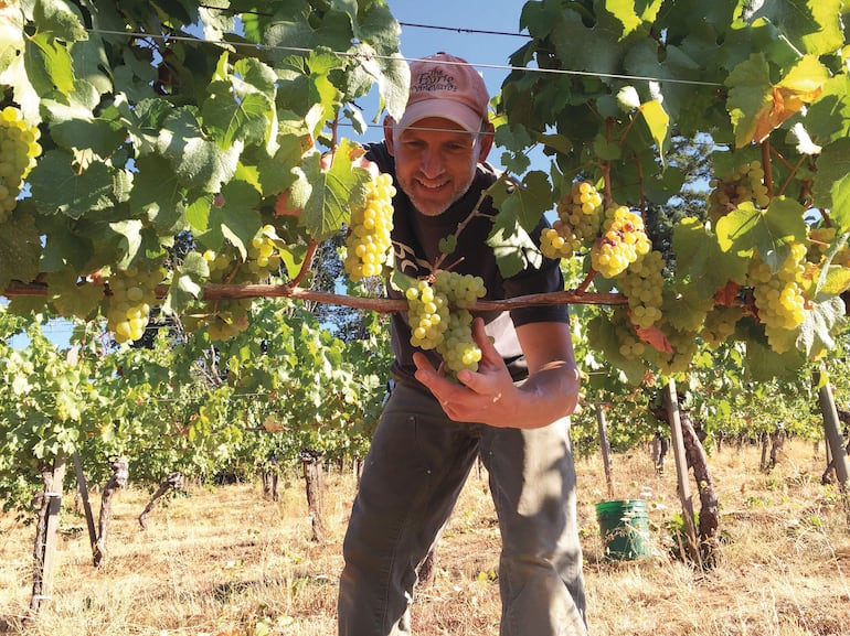 La región vinícola de Willamette, en Oregón (EE.UU), ofrece una experiencia íntima entre viñedos, posadas rurales y productos de granja. Foto: The Eyrie Vineyards,  facilitada por Lonely Planet. Best in Travel.