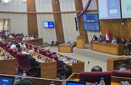 Una amplia concurrencia hubo hoy en la audiencia pública en Diputados.