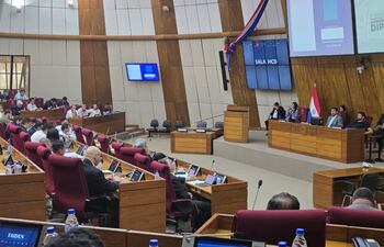 Una amplia concurrencia hubo hoy en la audiencia pública en Diputados.