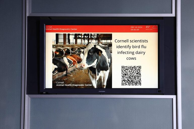 Una advertencia acerca de la gripe aviar es vista en el Centro de Diagnóstico de Salud Animal en la Universidad de Cornwell, Nueva York.