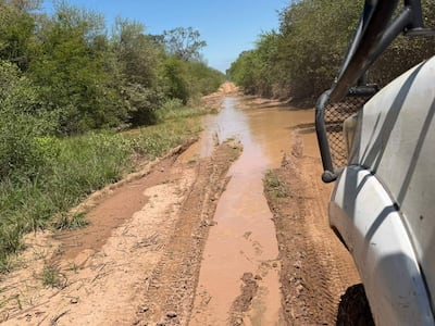 Un vehículo 4x4 en movimiento en un camino de barro, rodeado de pasto y arbustos verdes en un día claro.