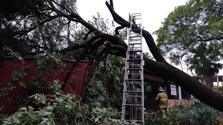 Bomberos acudieron a varias emergencias tras el temporal del fin de semana.
