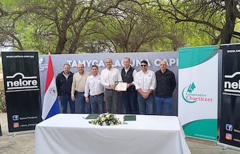 Chortitzer le apuesta al nelore y redibuja el mapa ganadero del Chaco
