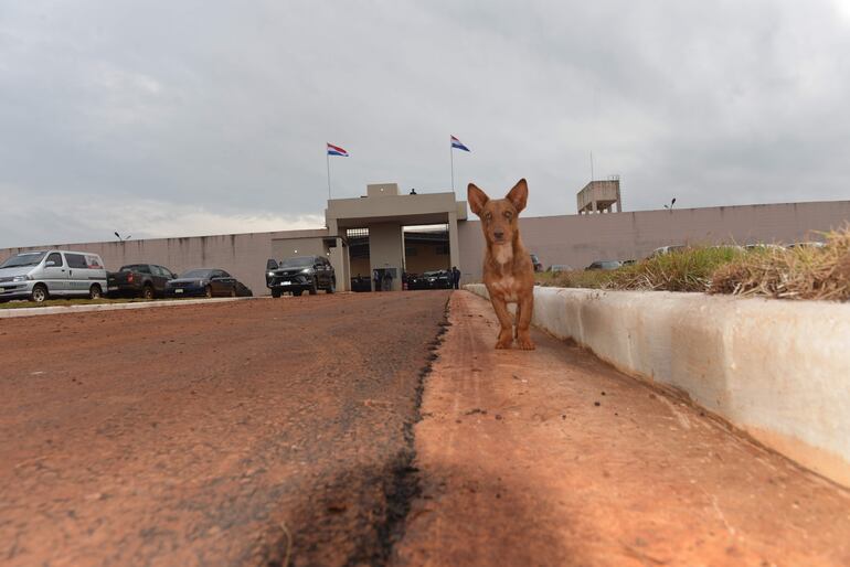 /pf/resources/images/abc-placeholder.png?d=2393