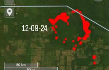 El fuego cede lentamente, pero aún quedan muchos días de trabajo hasta sofocar las llamas por completo. Imagen de la Dinac.