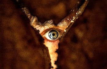 Terror en Silent Hill regreso al infierno película