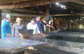 Los productores de caña de azúcar de Arroyos y Esteros explicaron sobre el sistema de trabajo para el procesamiento de la materia prima.