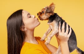 Amor por la mascota.