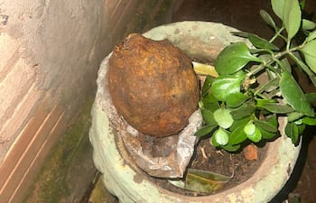 Un poblador de la zona tomó ambos explosivos y los trasladó a su vivienda: colocó uno de ellos dentro de una maceta en el jardín. Foto: gentileza.