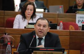 Líder Amarilla (Foto. Prensa Senado)