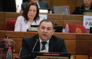 Líder Amarilla (Foto. Prensa Senado)