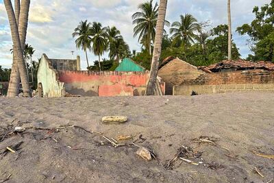 Imagen de referencia.