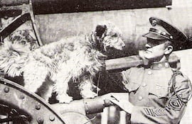 Rags en Fort Hamilton en los años 1920. Rags (hacia 1916 - 6 de marzo de 1936) era un terrier mestizo que se convirtió en el perro mascota de la 1.ª División de Infantería del ejército de los Estados Unidos durante la Primera Guerra Mundial.