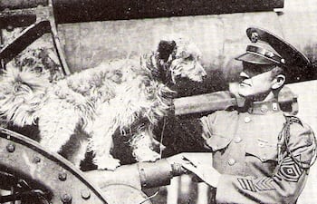 Rags en Fort Hamilton en los años 1920. Rags (hacia 1916 - 6 de marzo de 1936) era un terrier mestizo que se convirtió en el perro mascota de la 1.ª División de Infantería del ejército de los Estados Unidos durante la Primera Guerra Mundial.