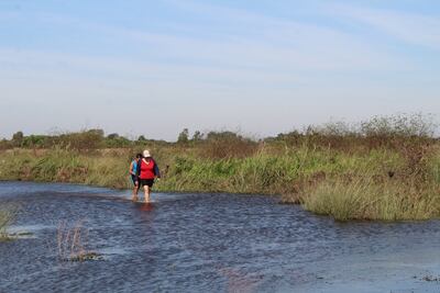 Pobladores de Ñeembucú están aislados ante la inundación de sus caminos.