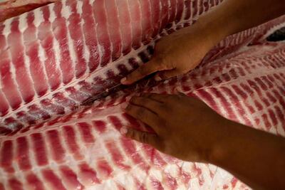 Un trabajador corta Pirarucús (Arapaima gigas) en la Reserva de Desarrollo Sostenible Mamirauá (RDS) en Fonte Boa, estado de Amazonas, Brasil.