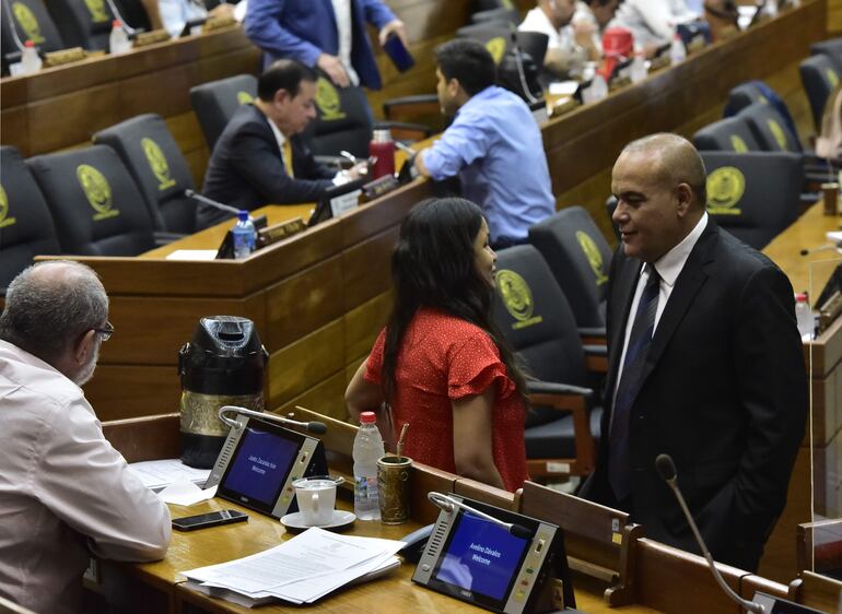 Sesión de la Cámara de Diputados en el Congreso Nacional.   