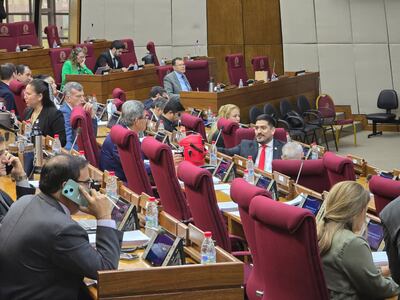 Ayer ante el pleno de  Diputados, el opositor Adrián “Billy”  Vaesken dijo que esperan que el MEC aclare las denuncias.