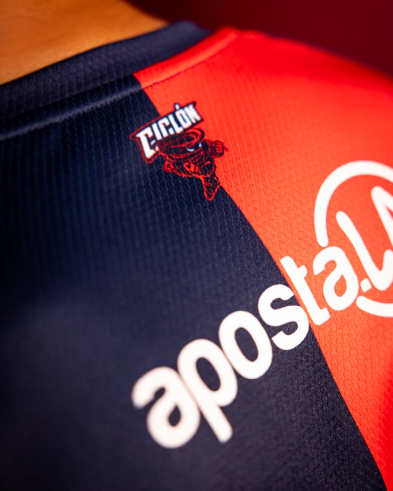 En la espalda de la camiseta "home" se destaca al representativo Ciclón.