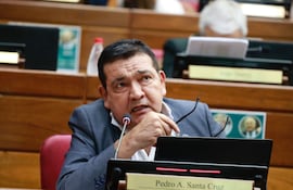 Pedro Santa Cruz (Foto Prensa Senado)