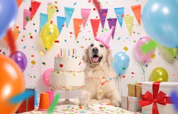 Perro en su fiesta de cumpleaños.