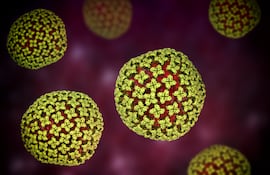 Hantavirus, imagen ilustrativa.